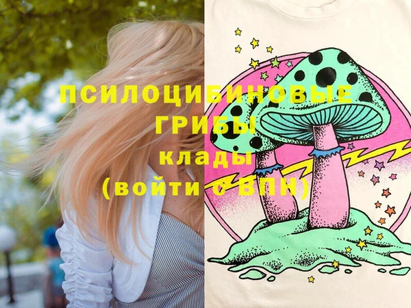 метамфетамин Белокуриха