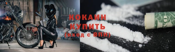 прущие грибы Белоозёрский