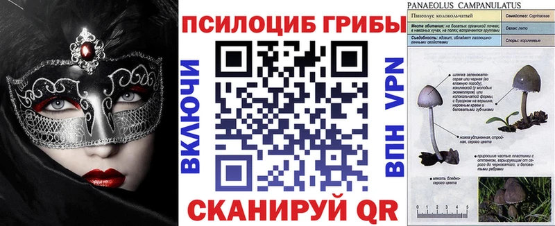 Галлюциногенные грибы Psilocybe  OMG tor  Монино 
